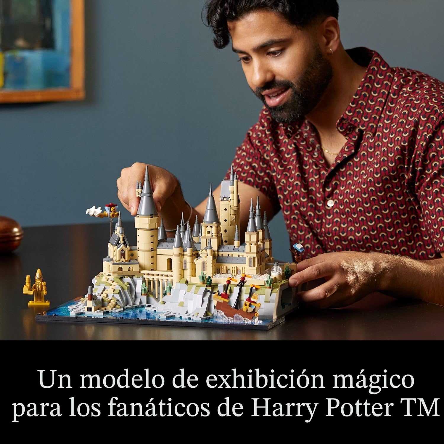 LEGO Harry Potter Hogwarts Castle and Grounds 76419 - Juego de cons...