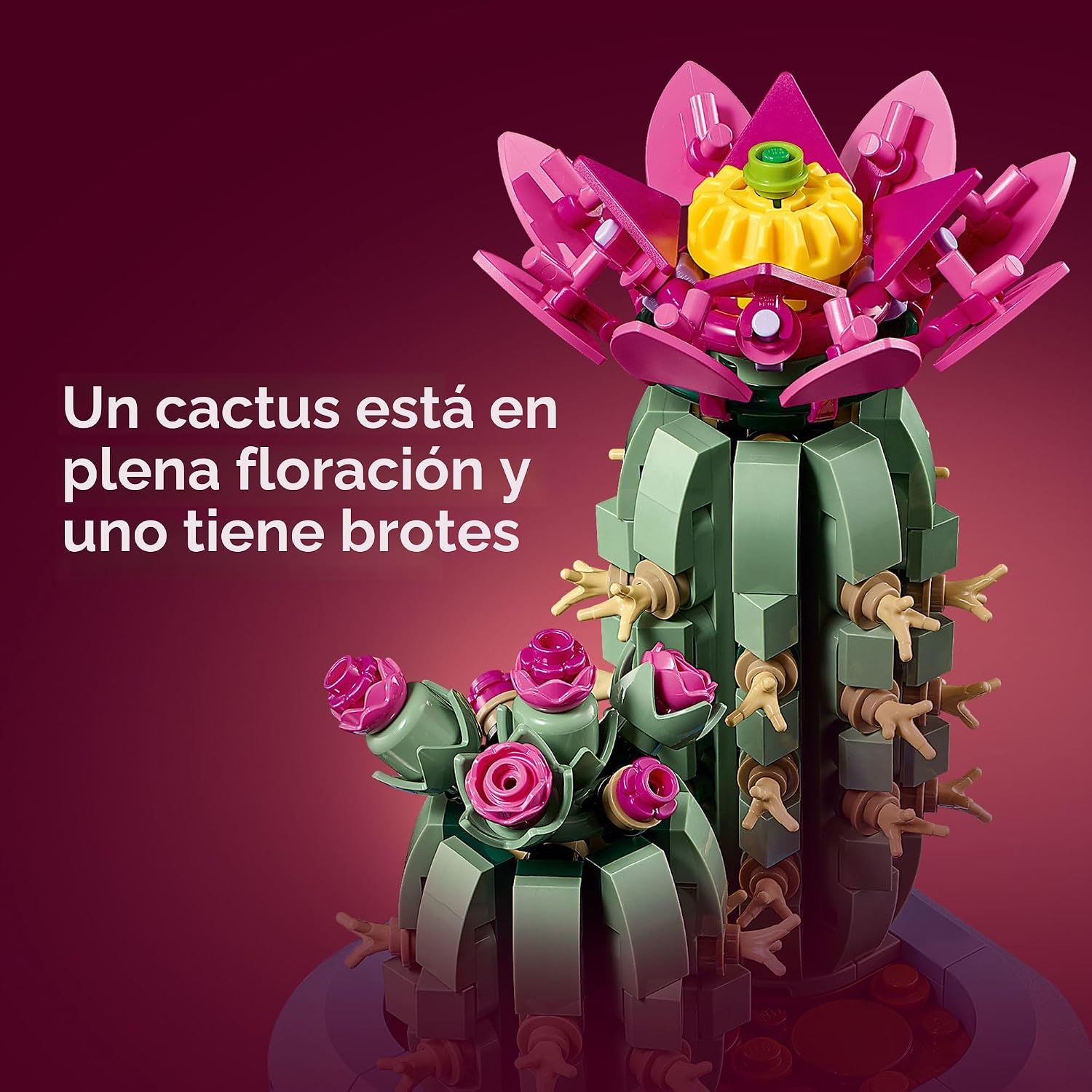 LEGO Botanicals - Juguete de construcción de cactus con flores - Ki...